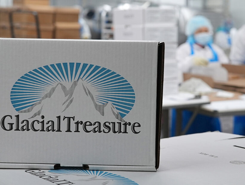 DD-Poultry-Glacial-Treasure-Halal-Frozen-Chicken
